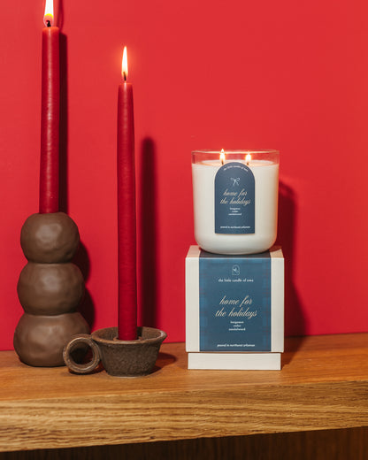 Home for the Holidays